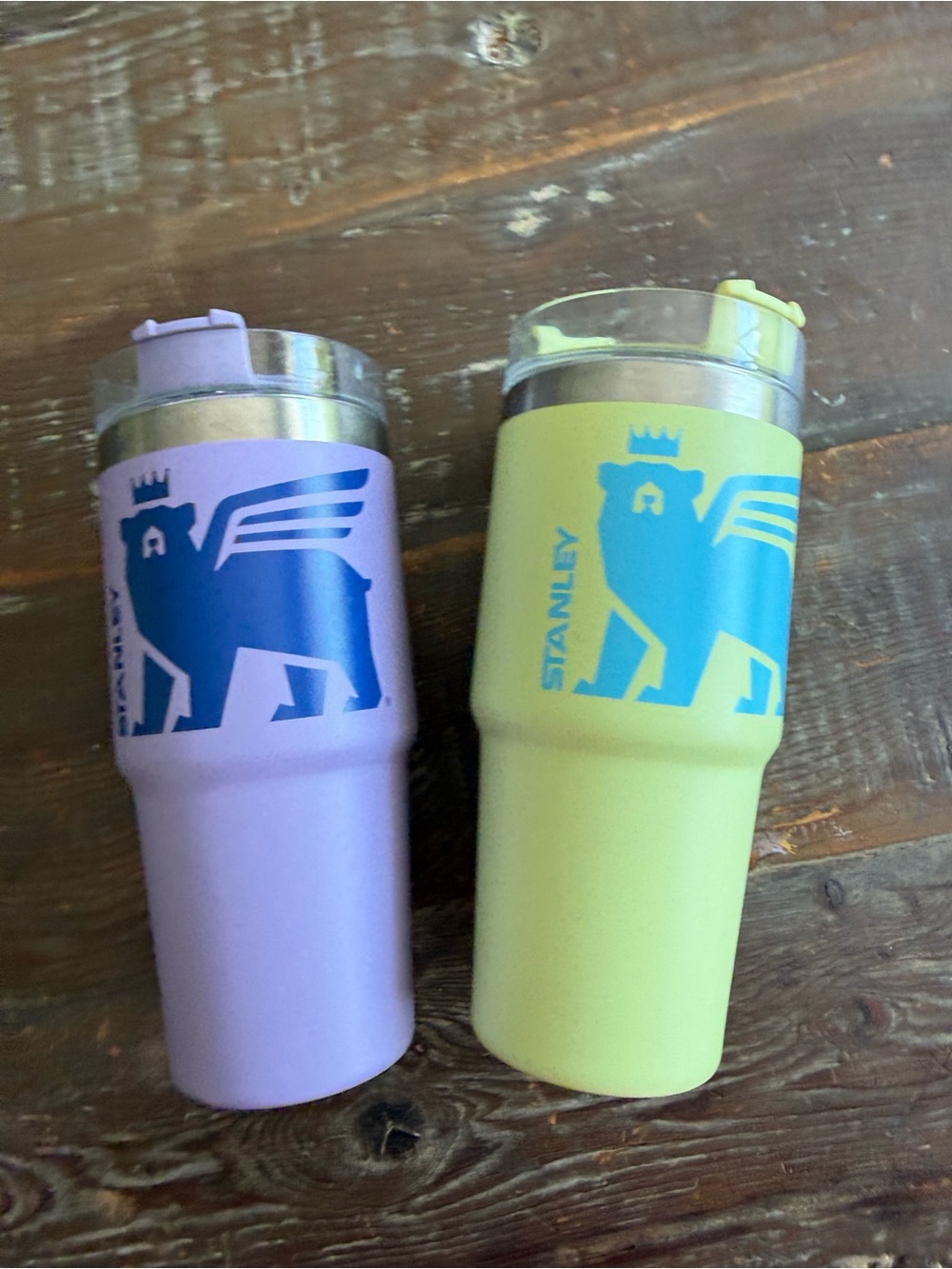 Stanley Pastel Purple & Pale Green Tumblers